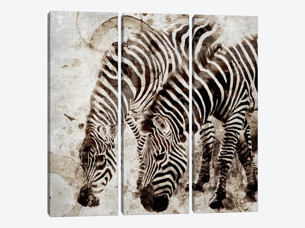 Zebras by Kimberly Allen 3-piece Canvas Art Print