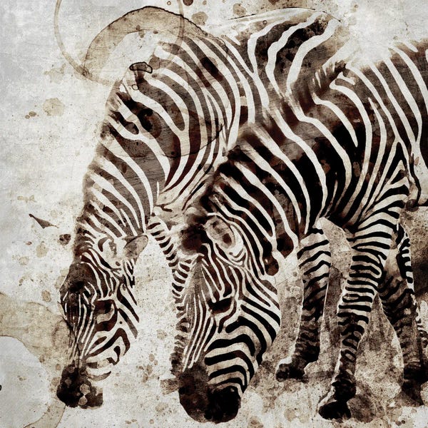 Zebras