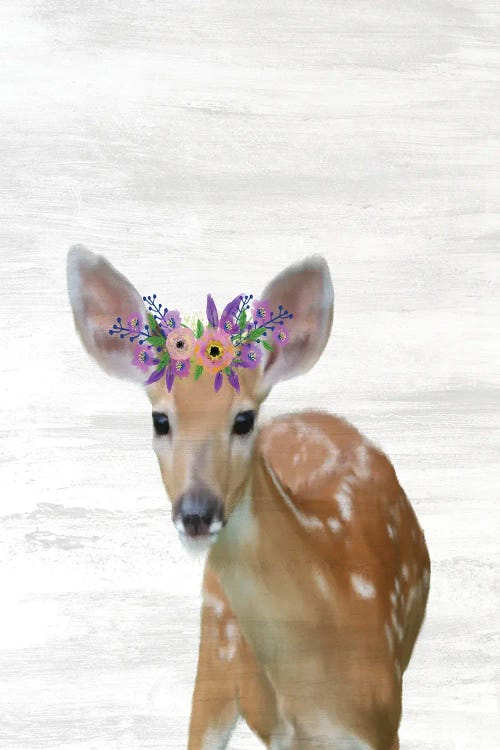 Baby Deer