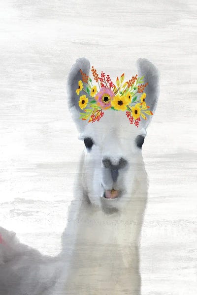 Llamas: Baby Llama by Kimberly Allen