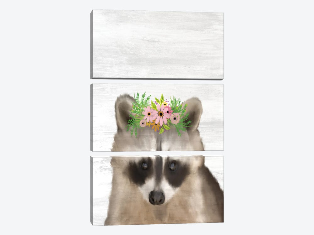 Baby Raccoon by Kimberly Allen 3-piece Canvas Print