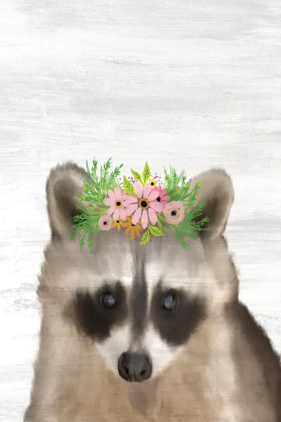 Raccoons: Baby Raccoon by Kimberly Allen
