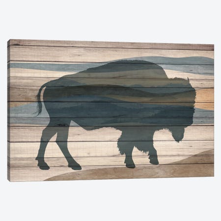 Bison Canvas Print #KAL1407} by Kimberly Allen Art Print