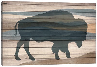 Bison Canvas Art Print - Kimberly Allen