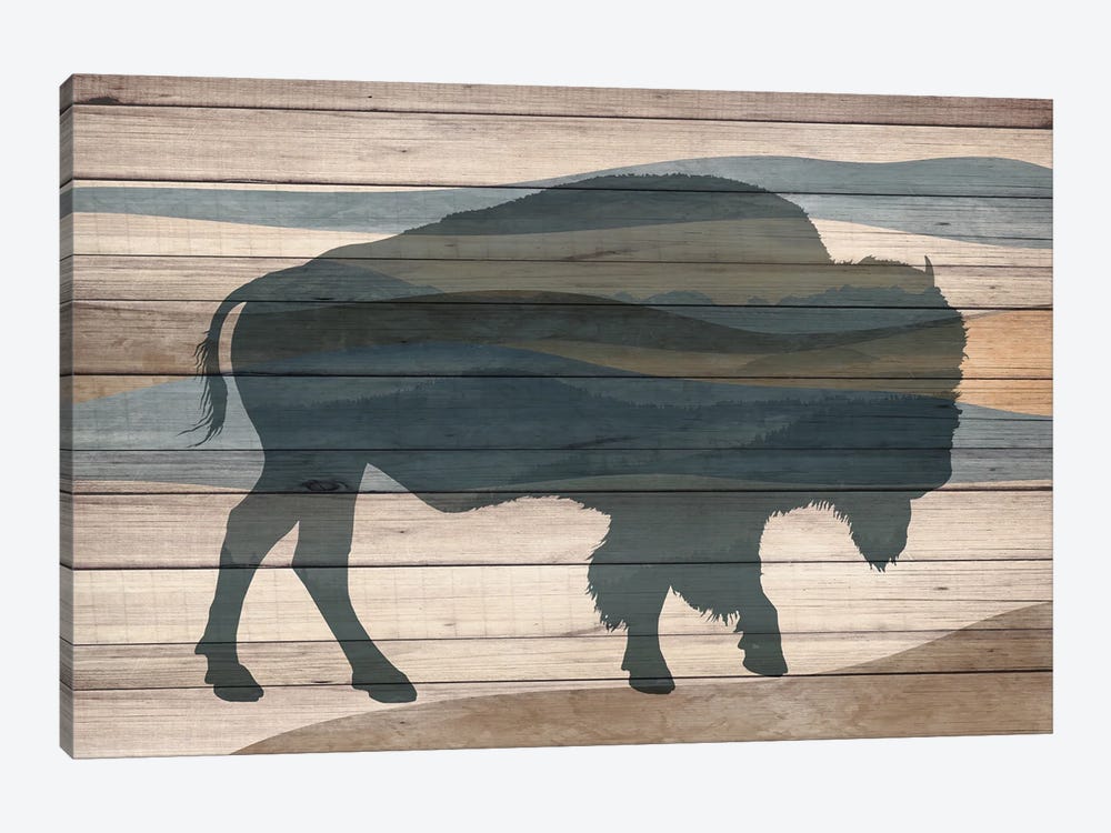 Bison by Kimberly Allen 1-piece Canvas Print