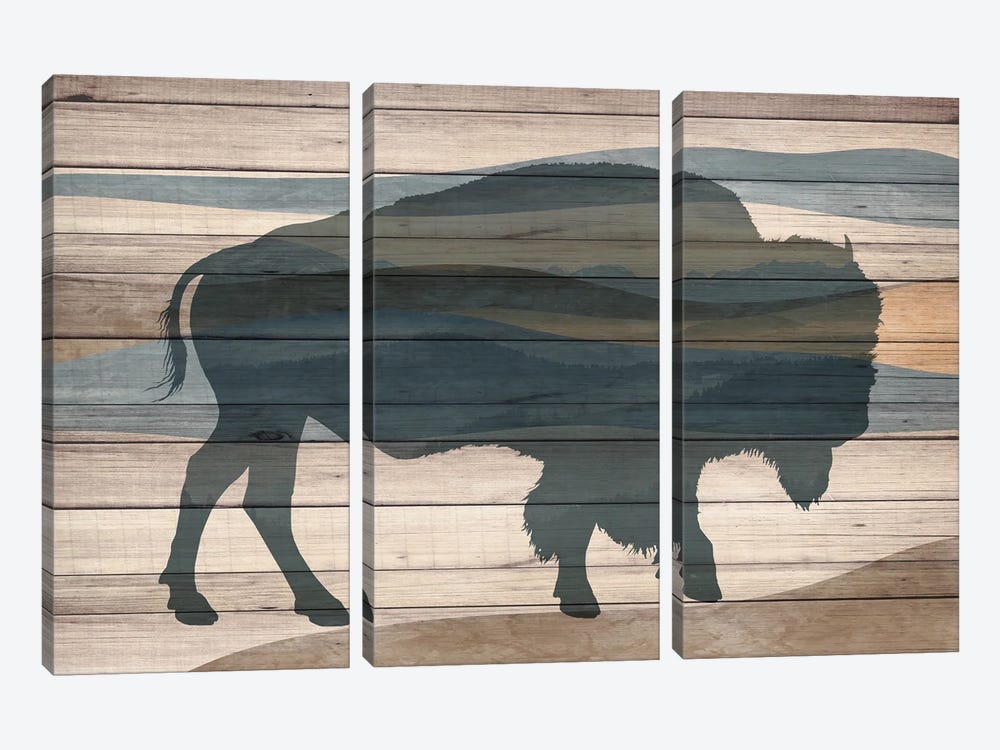 Bison by Kimberly Allen 3-piece Canvas Art Print