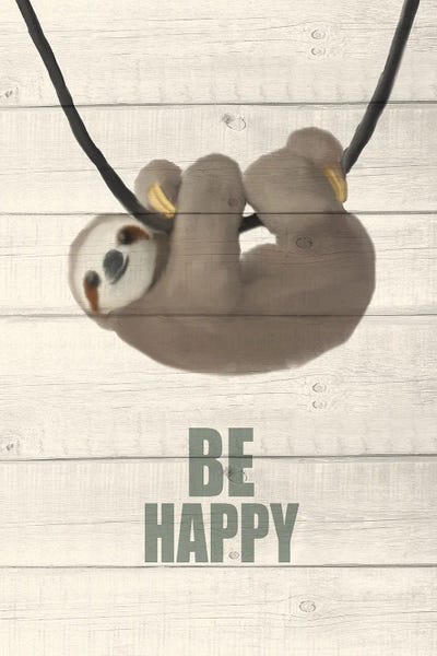 Sloths: Don't Worry II by Kimberly Allen