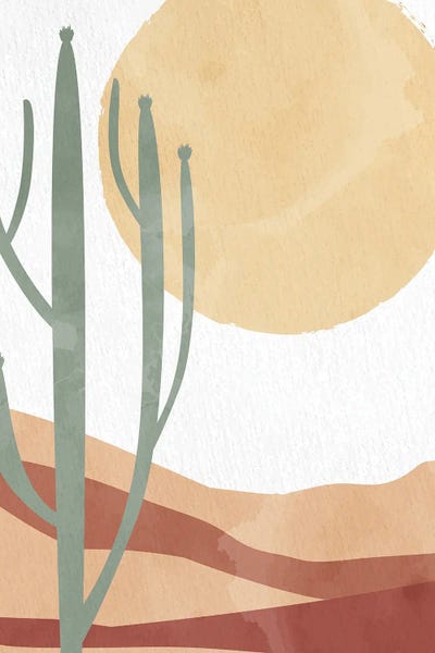 Succulents: In The Desert Sun by Kimberly Allen