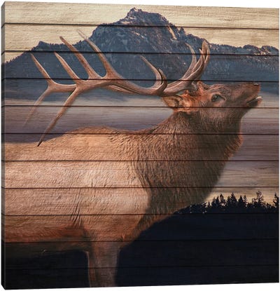 King Canvas Art Print - Moose Art