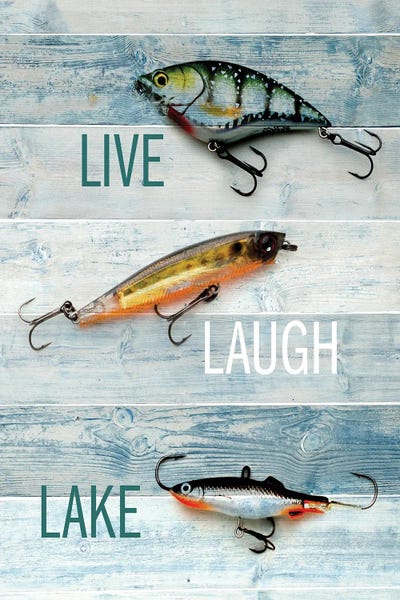 Lakehouse Décor: Lure II by Kimberly Allen