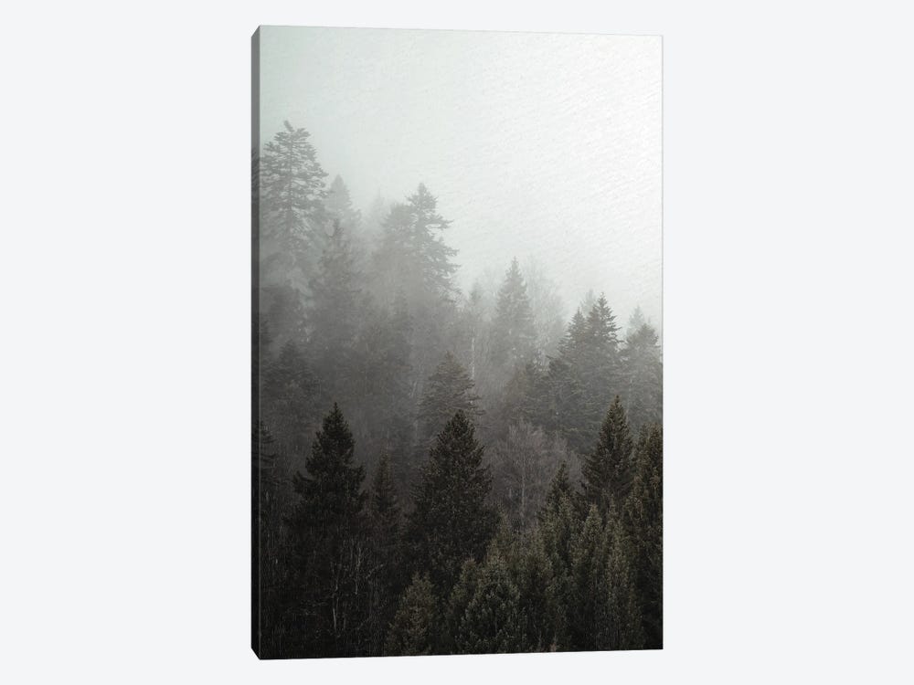 Mist I by Kimberly Allen 1-piece Canvas Print