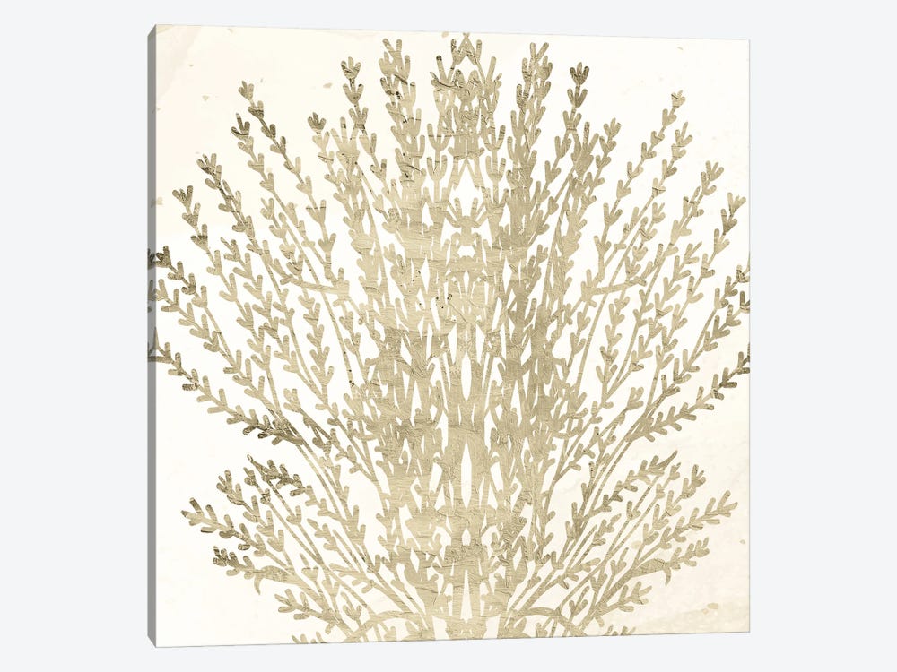 Sand Coral II by Kimberly Allen 1-piece Canvas Art Print