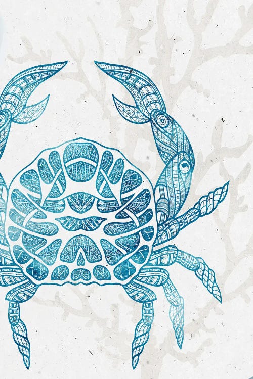 Sea Creature III by Kimberly Allen wall art