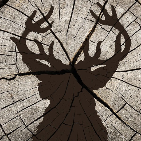 Lakehouse Décor: Woods Silhouette I by Kimberly Allen