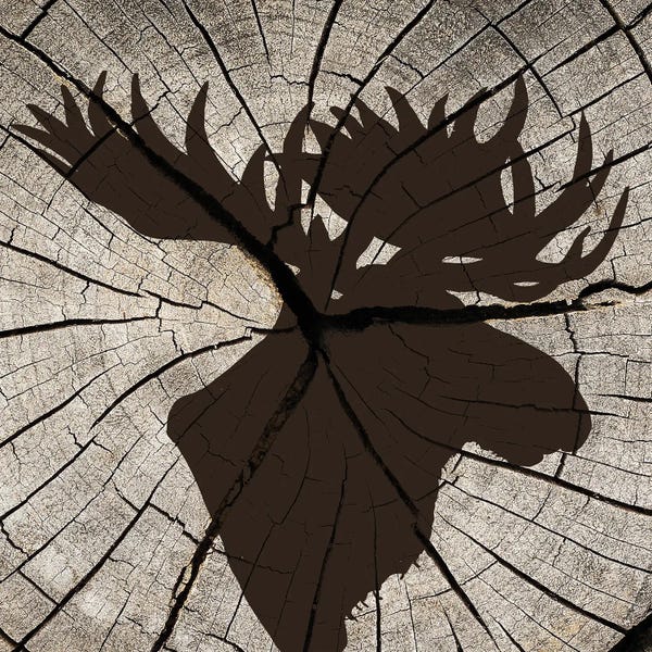 Moose: Woods Silhouette II by Kimberly Allen