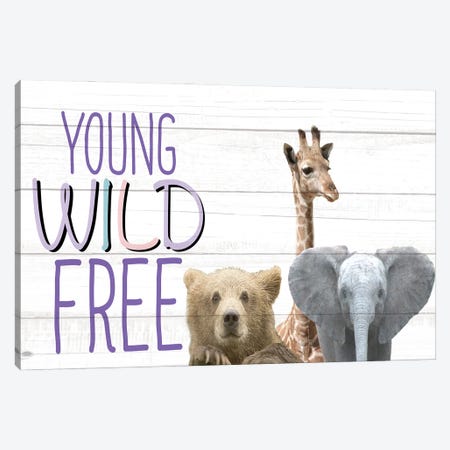 Young Wild And Free Animals Canvas Print #KAL1523} by Kimberly Allen Canvas Print