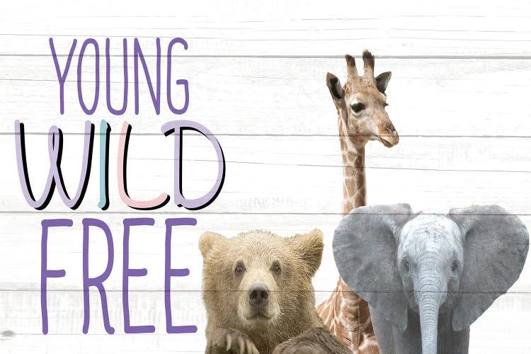 Young Wild And Free Animals