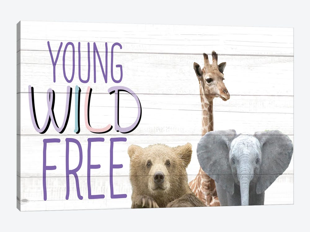 Young Wild And Free Animals by Kimberly Allen 1-piece Canvas Art