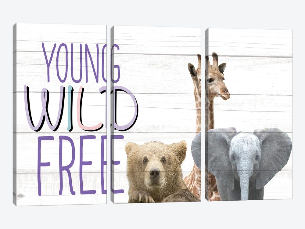 Young Wild And Free Animals by Kimberly Allen 3-piece Canvas Artwork