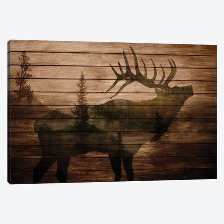 Elk Woods II Canvas Print #KAL1528} by Kimberly Allen Canvas Print