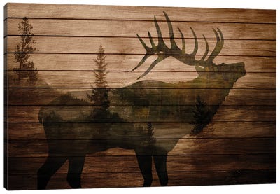 Elk Woods II Canvas Art Print - Cabin & Lodge Décor