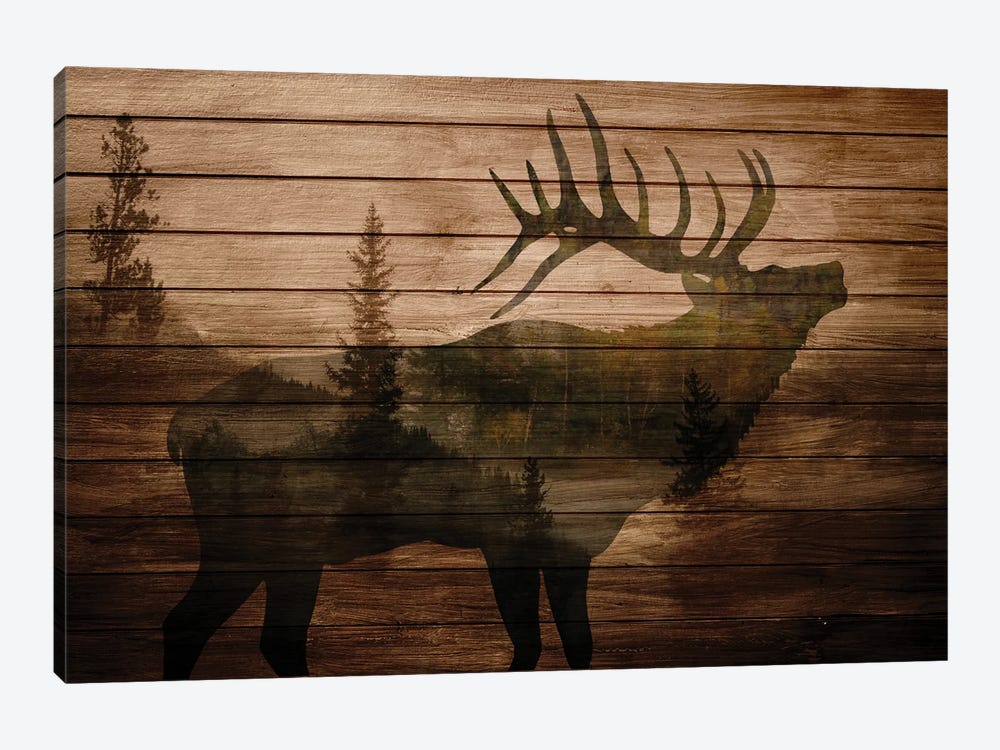 Elk Woods II by Kimberly Allen 1-piece Canvas Print