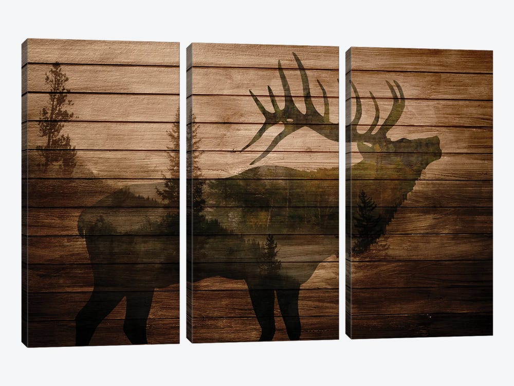 Elk Woods II by Kimberly Allen 3-piece Canvas Print