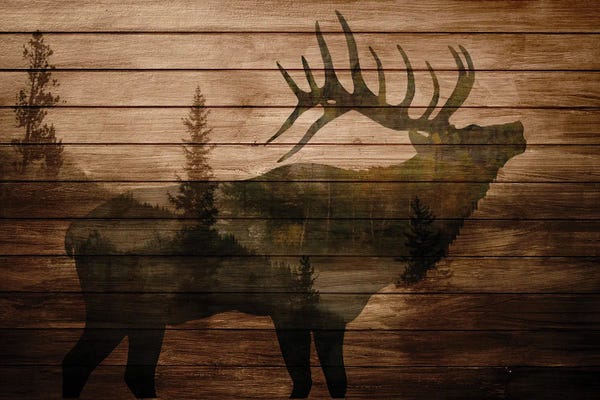 Lakehouse Décor: Elk Woods II by Kimberly Allen