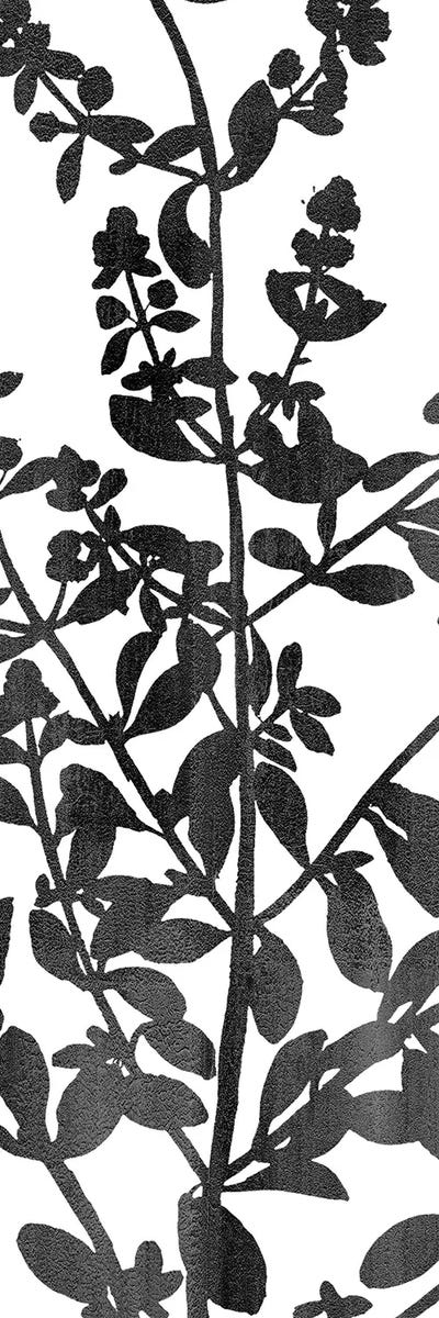 Botanical Panel I by Kimberly Allen framed canvas print