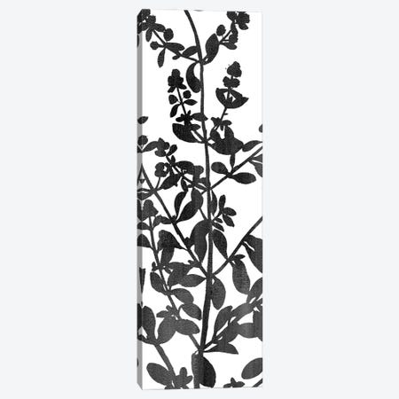 Botanical Panel I Canvas Print #KAL1539} by Kimberly Allen Canvas Wall Art