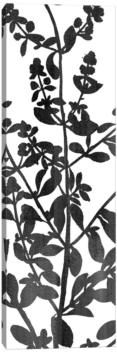Botanical Panel I Canvas Art Print