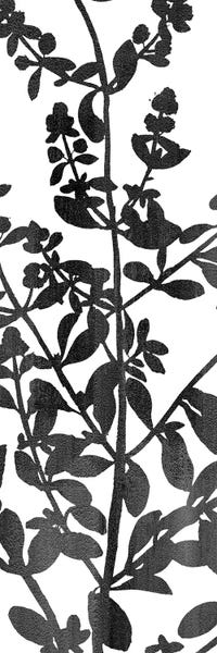 Black & White Florals: Botanical Panel I by Kimberly Allen