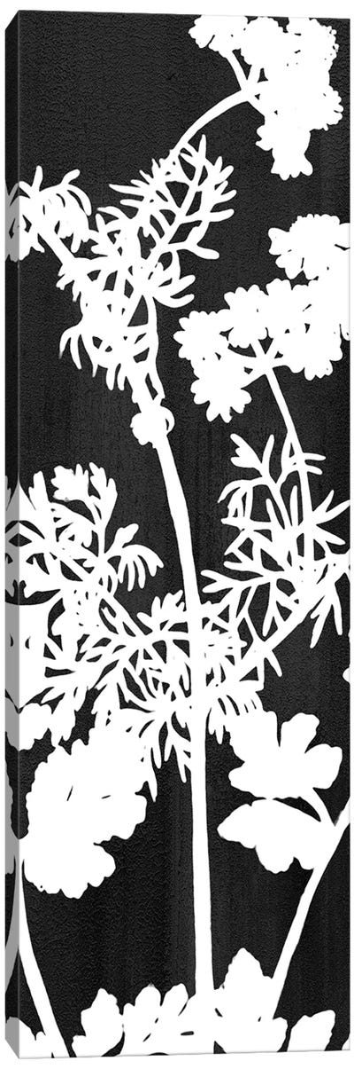 Botanical Panel II Canvas Art Print