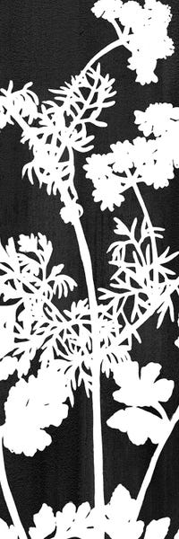 Black & White Florals: Botanical Panel II by Kimberly Allen