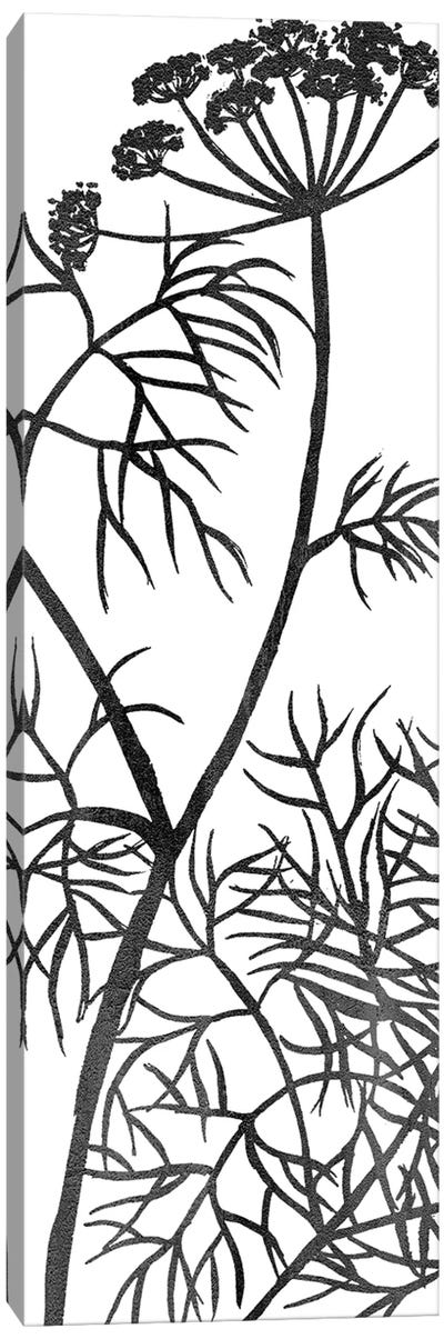 Botanical Panel III Canvas Art Print