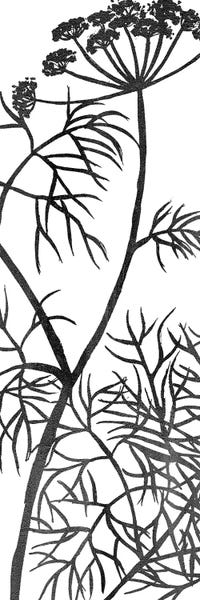 Black & White Florals: Botanical Panel III by Kimberly Allen
