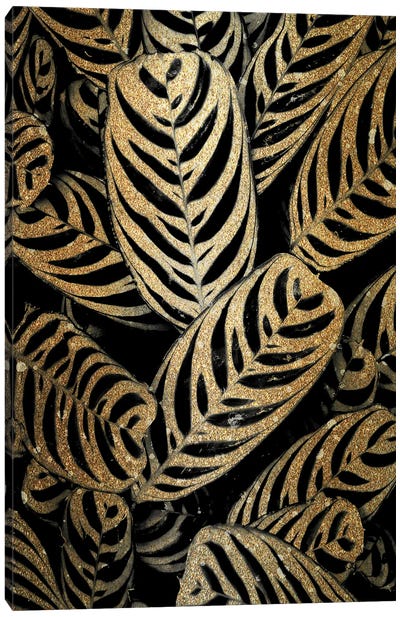 Midnight Palm Leaves In Gold II Canvas Art Print