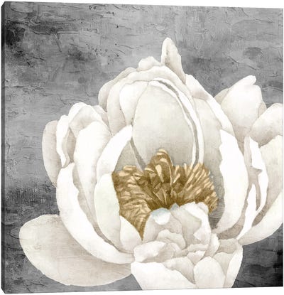 Peony II Canvas Art Print - Minimalist Flowers