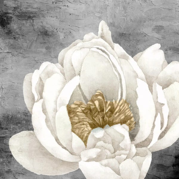 Peonies: Peony II by Kimberly Allen