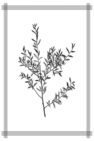 Black & White Florals: Pressed III by Kimberly Allen