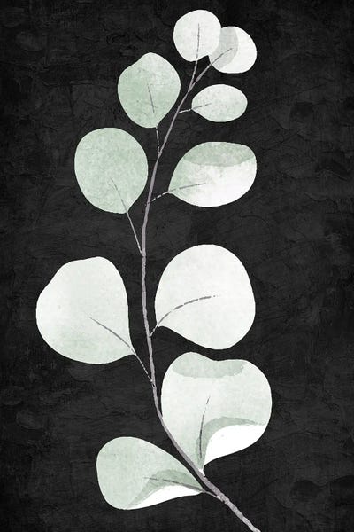 Black & White Florals: Stems I by Kimberly Allen