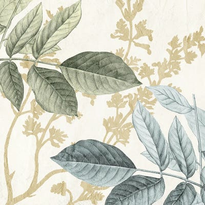 Branched Out II by Kimberly Allen framed wall art