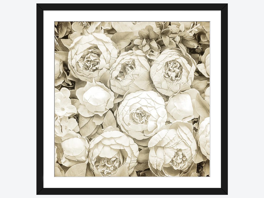Framed Canvas Art - Dried Roses by Kimberly Allen ( Floral & Botanical > Flowers > Roses art) - 26x26 in
