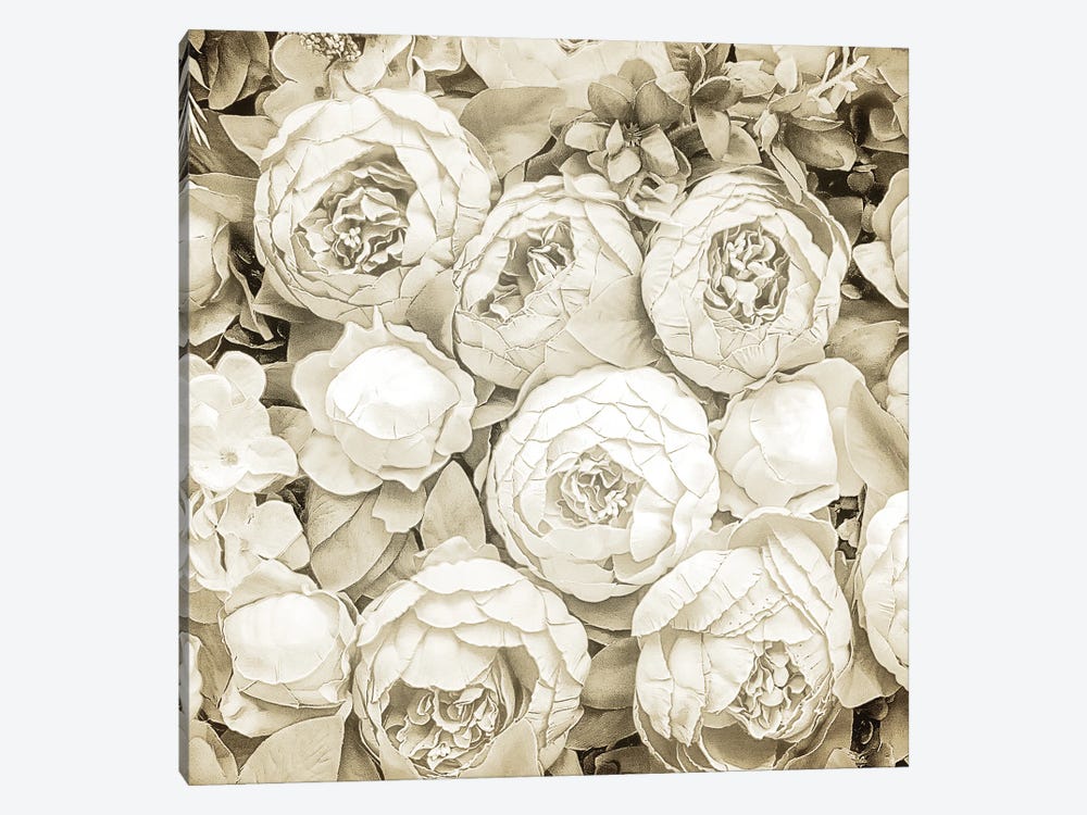 Dried Roses by Kimberly Allen 1-piece Canvas Art Print
