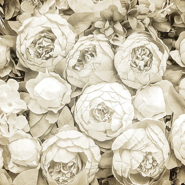 Fine Art Print: Dried Roses by Kimberly Allen