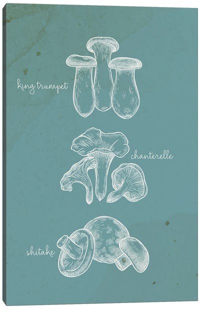 Mushroom Type I Canvas Art Print - Mushroom Art