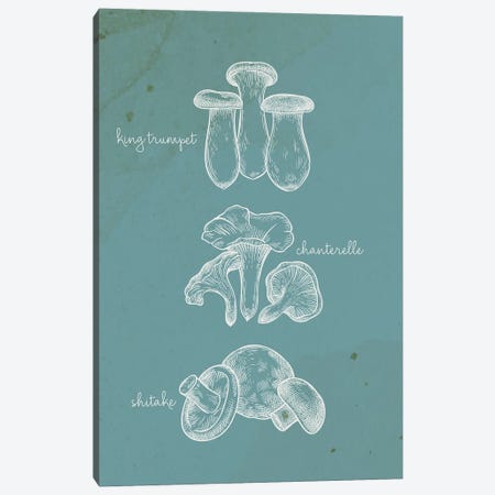 Mushroom Type I Canvas Print #KAL1570} by Kimberly Allen Canvas Wall Art