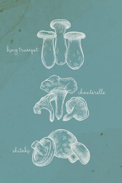 Kimberly Allen: Mushroom Type I by Kimberly Allen