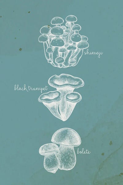 Kimberly Allen: Mushroom Type II by Kimberly Allen