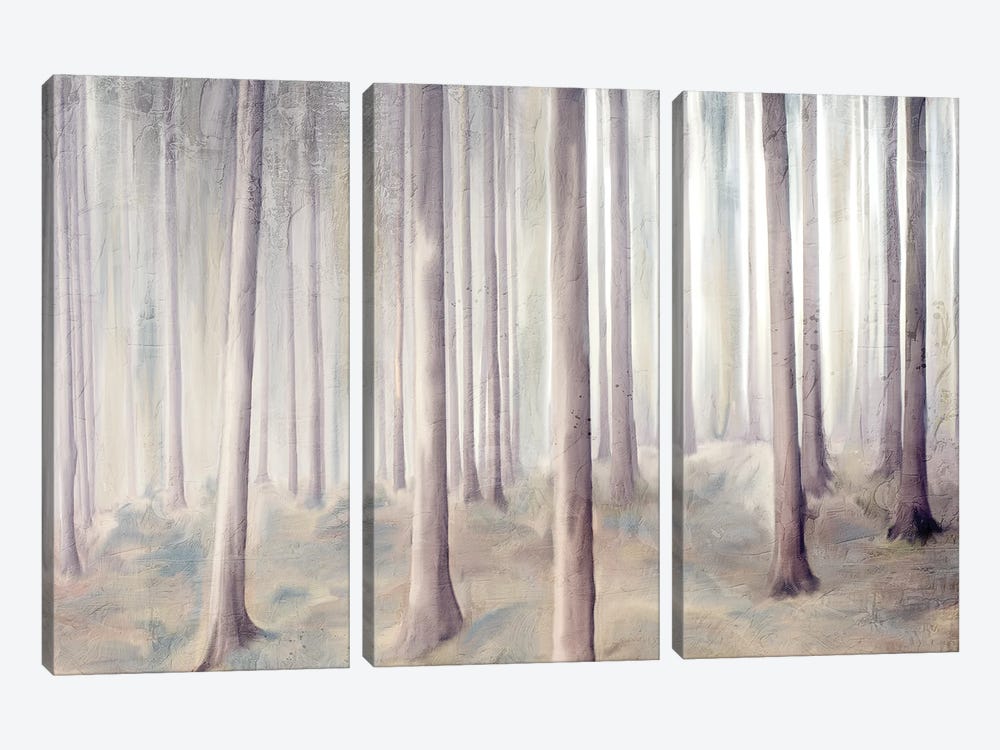 Forest Dreams by Kimberly Allen 3-piece Canvas Art Print